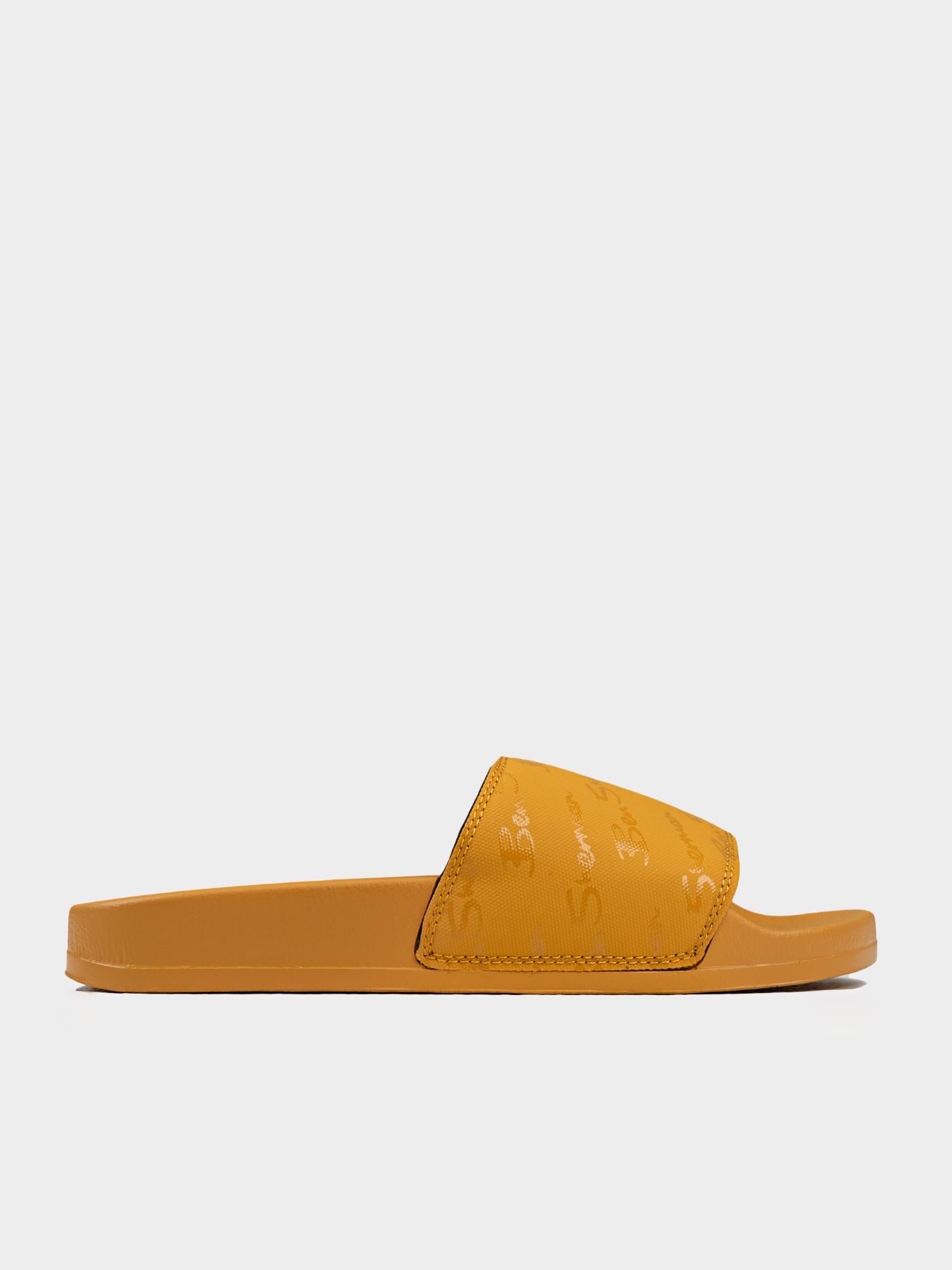 Slides - Dijon