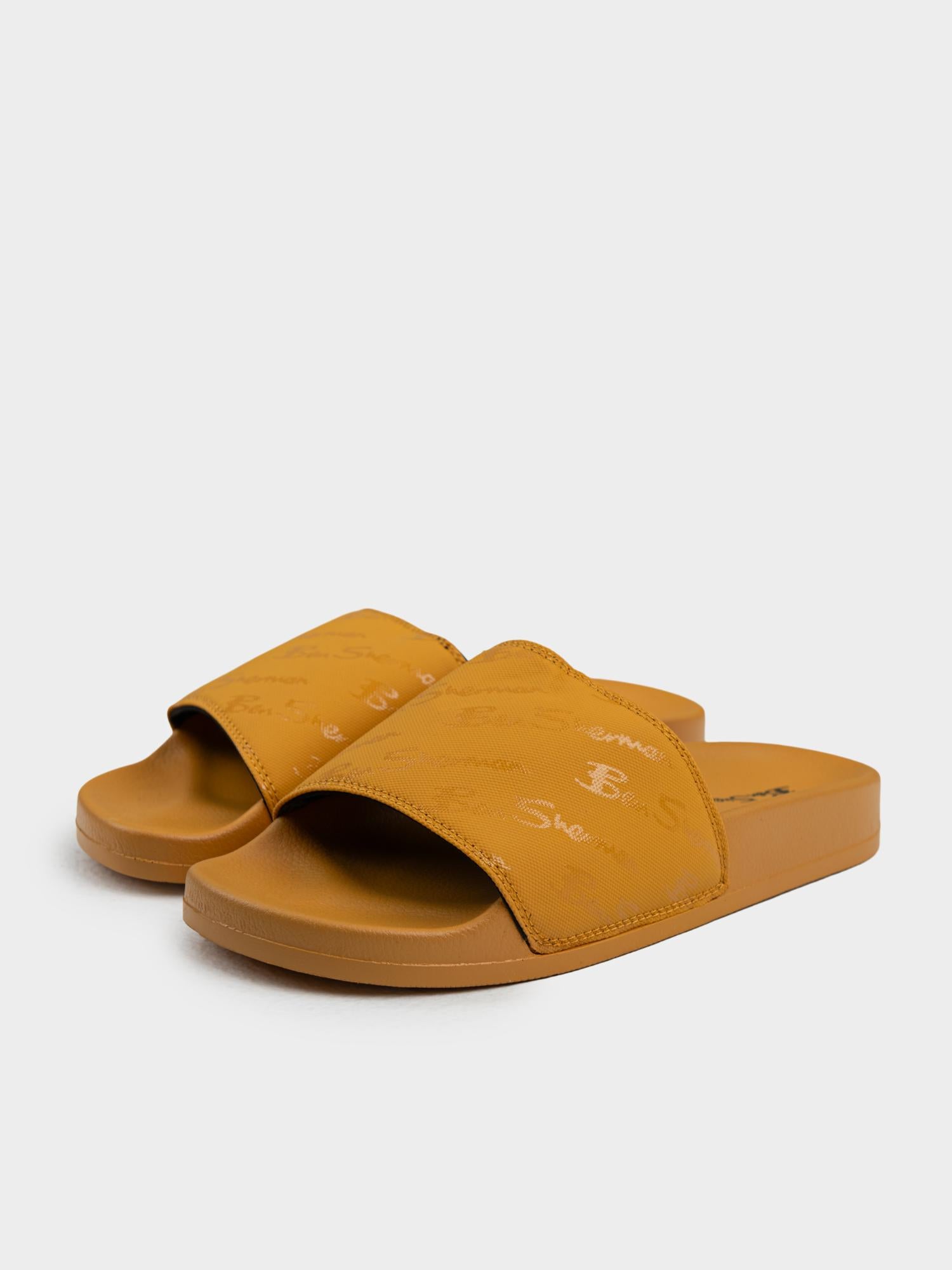 Slides - Dijon