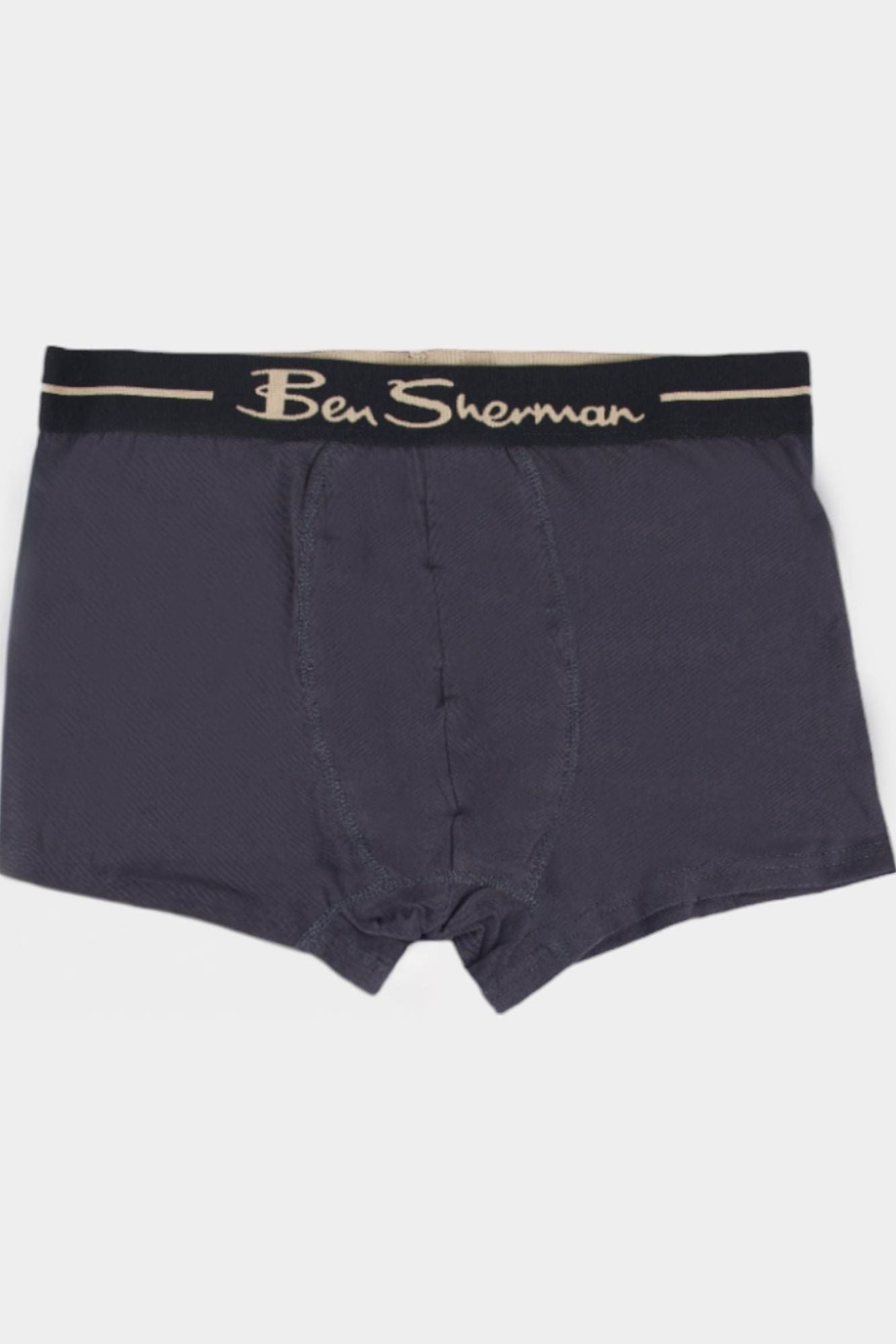 TRUNKS 3PK - GREY / SAND